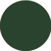 Abiti da damigella d'onore Verde Scuro Convenienti